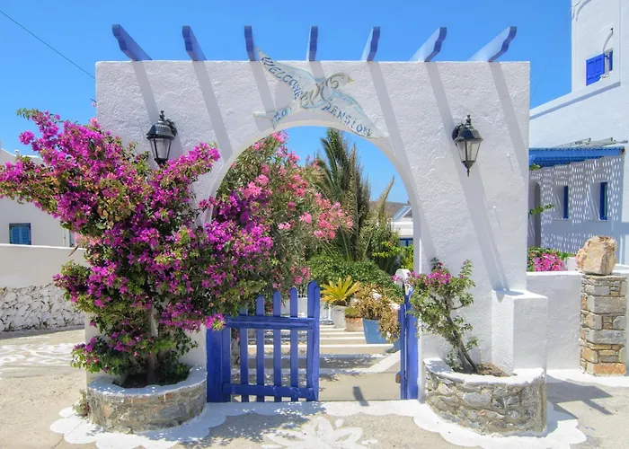 Evi's Θολάρια